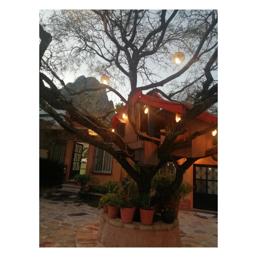 Hotel Casa Del Arbol Bernal Exterior photo